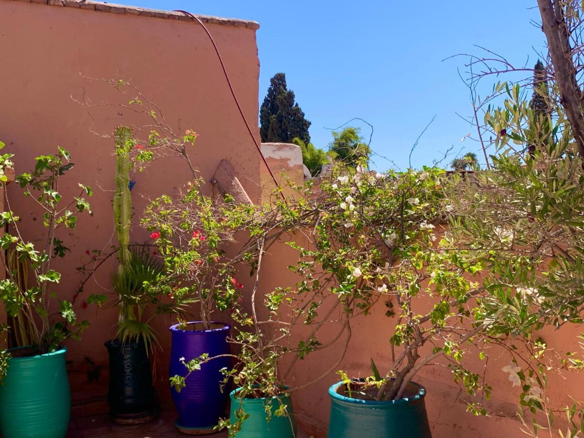 Dar Zemrane Hotell Marrakesh Exteriör bild