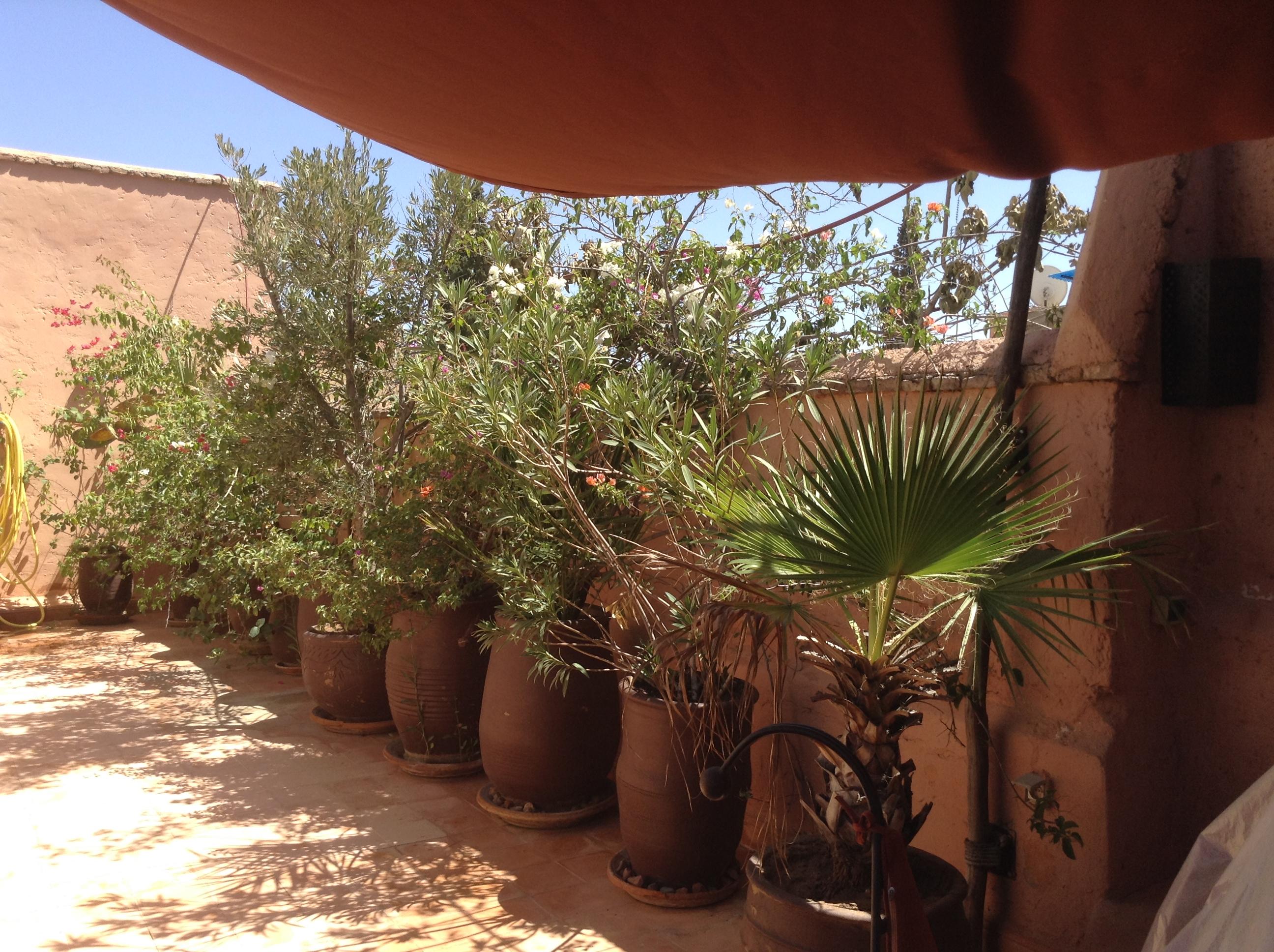 Dar Zemrane Hotell Marrakesh Exteriör bild